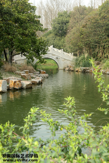 摄影培训班学员赴上海植物园拍摄练习情景