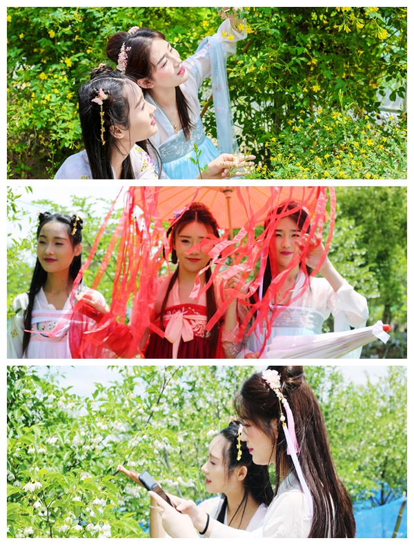 茉莉观花季幸福莫离