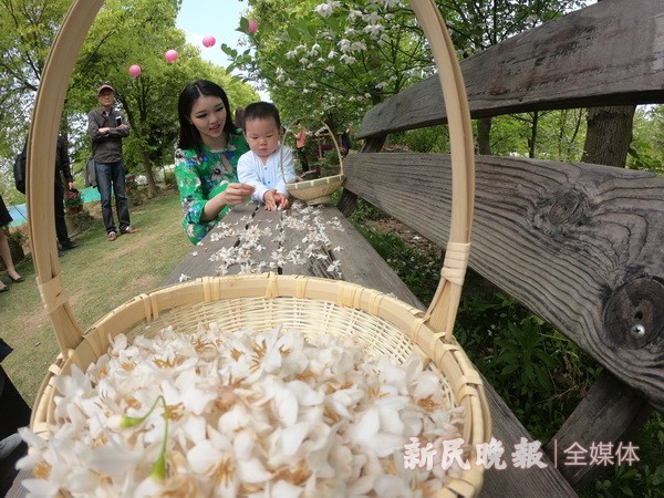 中国梦丝路情 茉莉花开文化节开幕