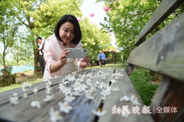 中国梦丝路情 茉莉花开文化节开幕